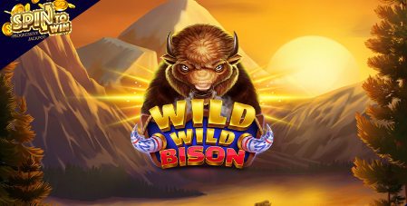 Online Social game